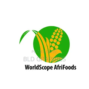 Logo Brand Identity Design