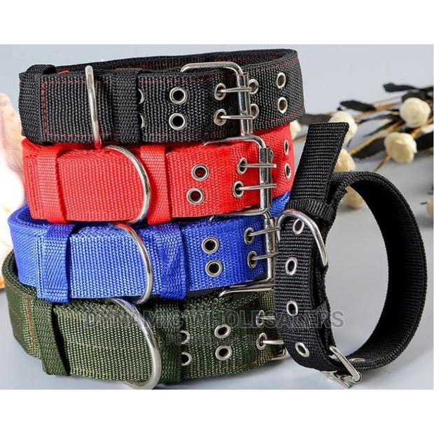 **Brand New Dog Collar++ - main view