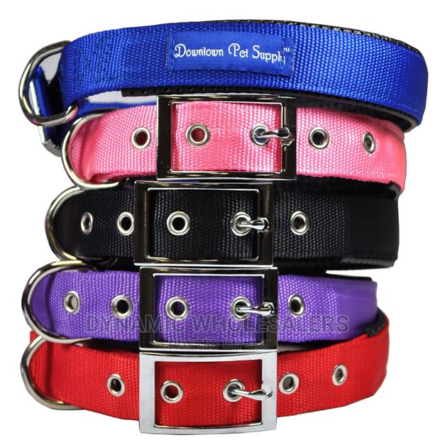 Soft Brand New Dog Collar - main view
