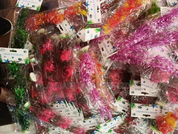 Redish Aquarium Plants - main view