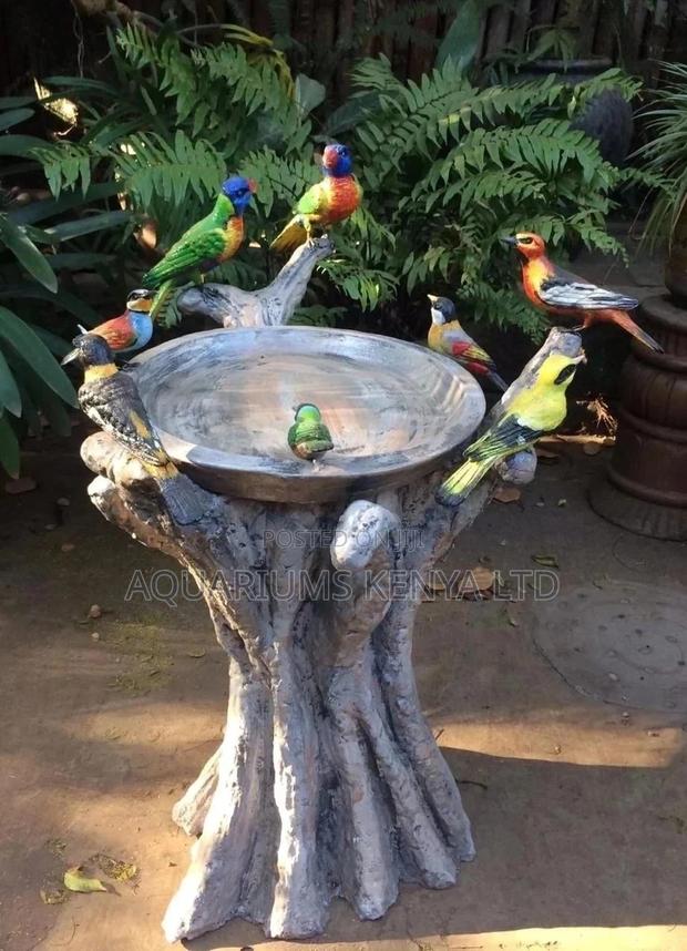 Birds Bath Feeder and Drinker