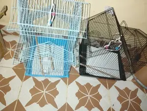 Cages Meant for Young Birds