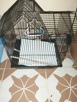 Black Cage,Cages for Small Birds