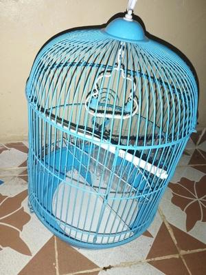 Circular Cage,Blue Cage - thumbnail 2