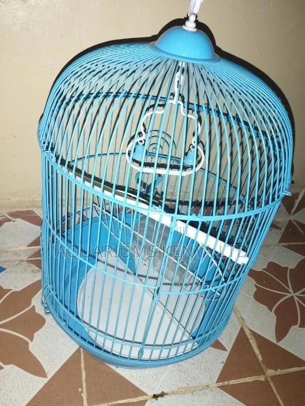 Circular Cage,Blue Cage - main view