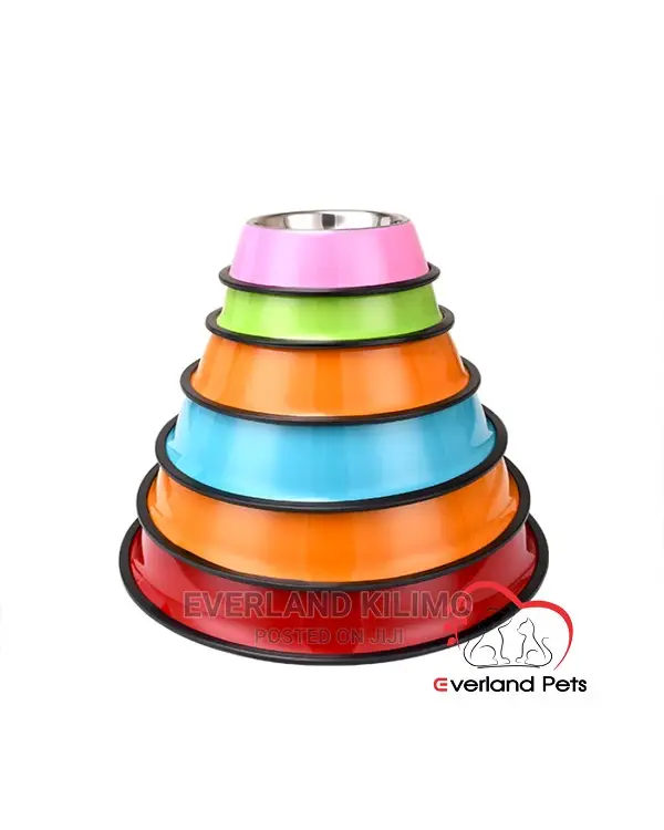 Pet Feeding Bowls