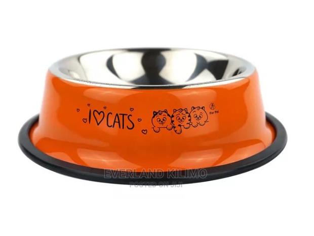 Pet Feeding Bowls - thumbnail 4