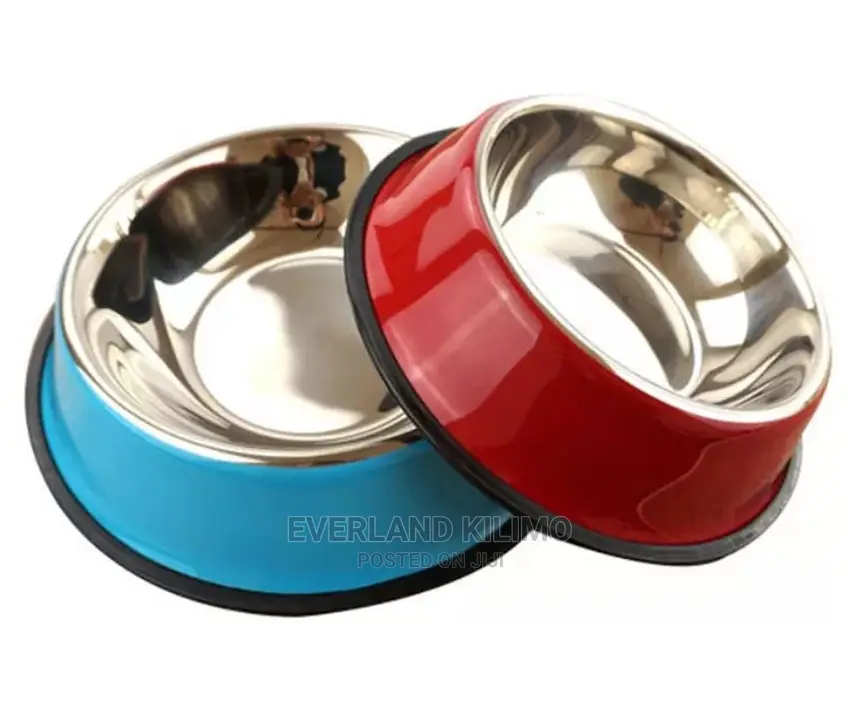 Pet Feeding Bowls