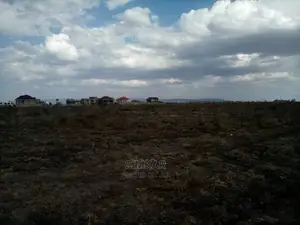 1/4-Acre Plots for Sale in Katani/Mulinge Scheme