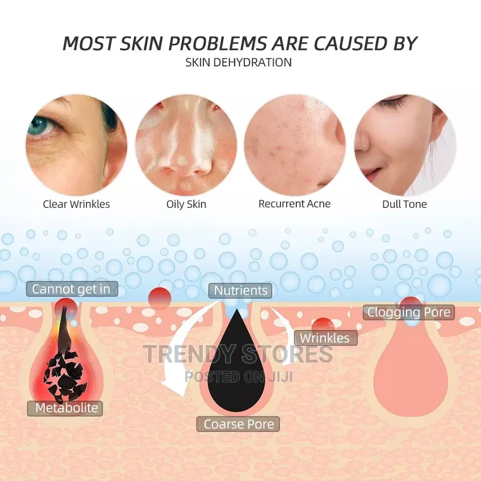 Phyopus Facial Steamer