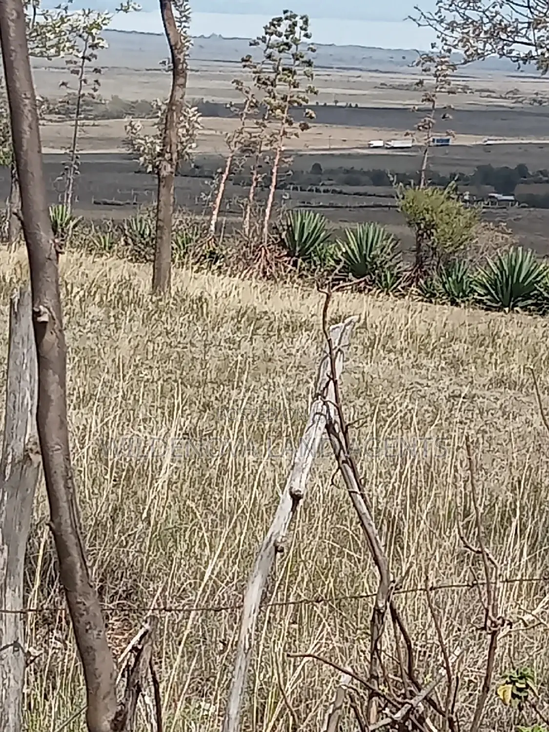 5 Acre on Sale at Longonot Naivasha