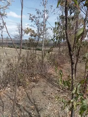 5 Acre on Sale at Longonot Naivasha