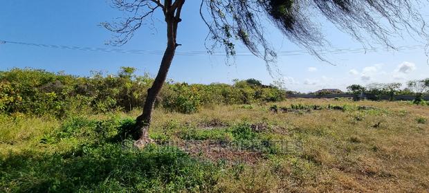 Serena, 2.3 Acre Land on Sale - thumbnail 4