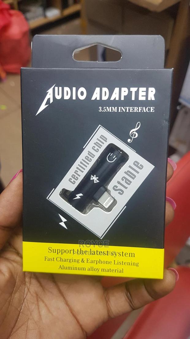 iPhone Audio Adapter - main view