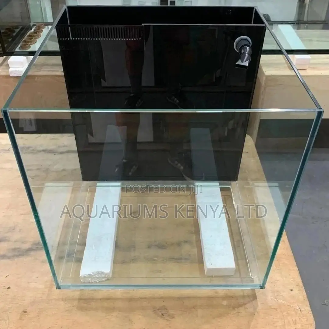 Mini-Marine Tank Aquarium