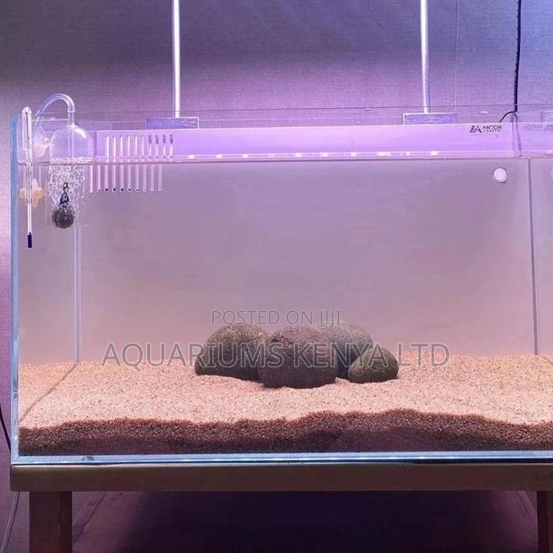 Simple Goldfish Aquariums - main view