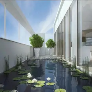 Indoor Fish Ponds, Fish Basins