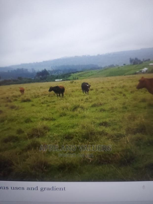 Land for Sale in Karunga Area (Gilgil)