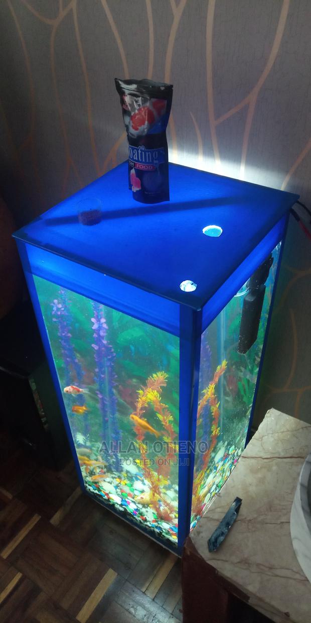Medium Tower Aquarium - main view