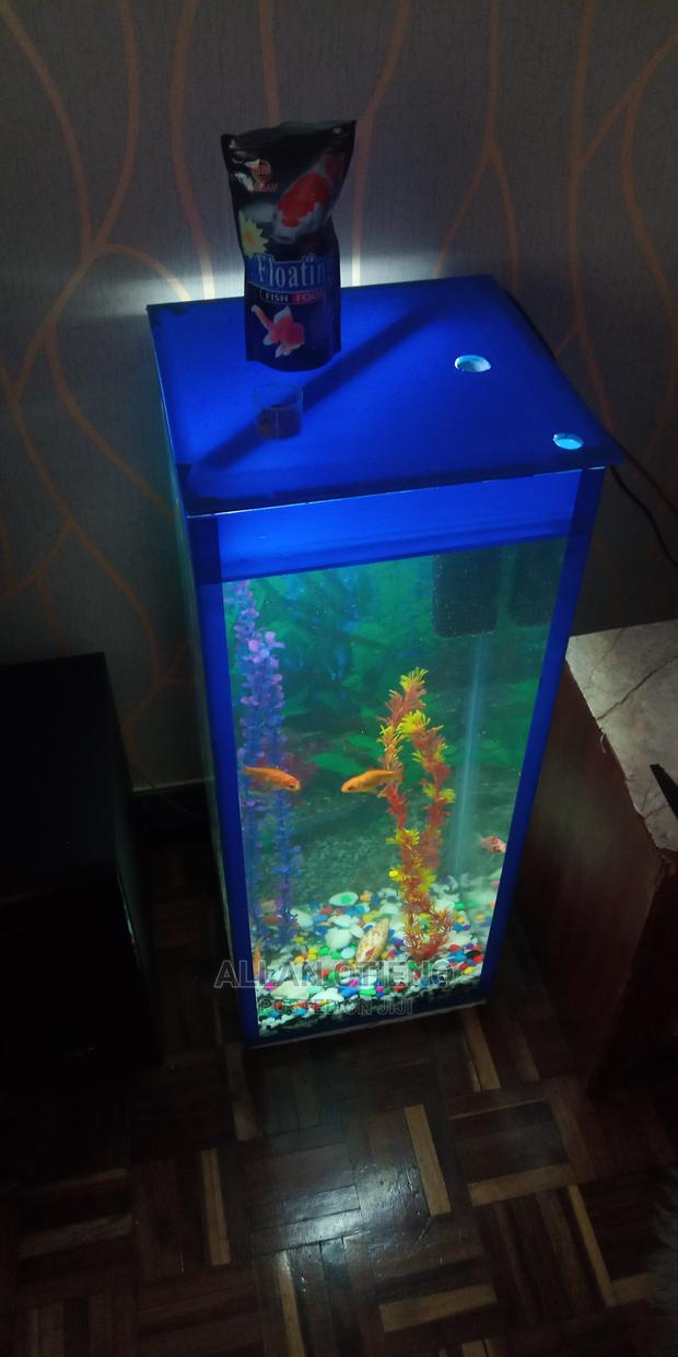Medium Tower Aquarium - thumbnail 3