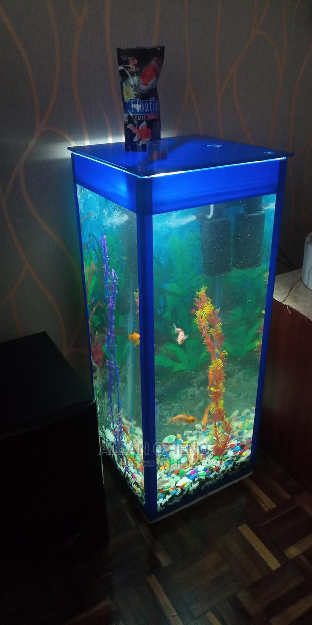 Medium Tower Aquarium - thumbnail 4