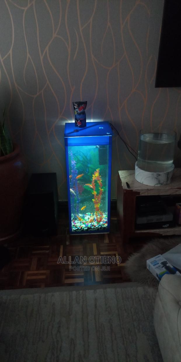 Medium Tower Aquarium - thumbnail 5