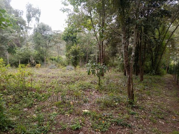 Karen Land for Leseing - main view