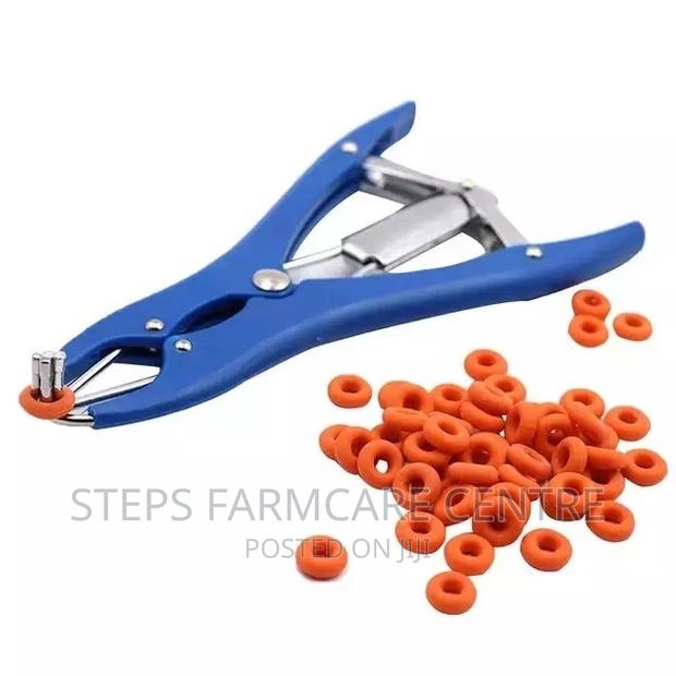 Elastrator and Rubber Rings
