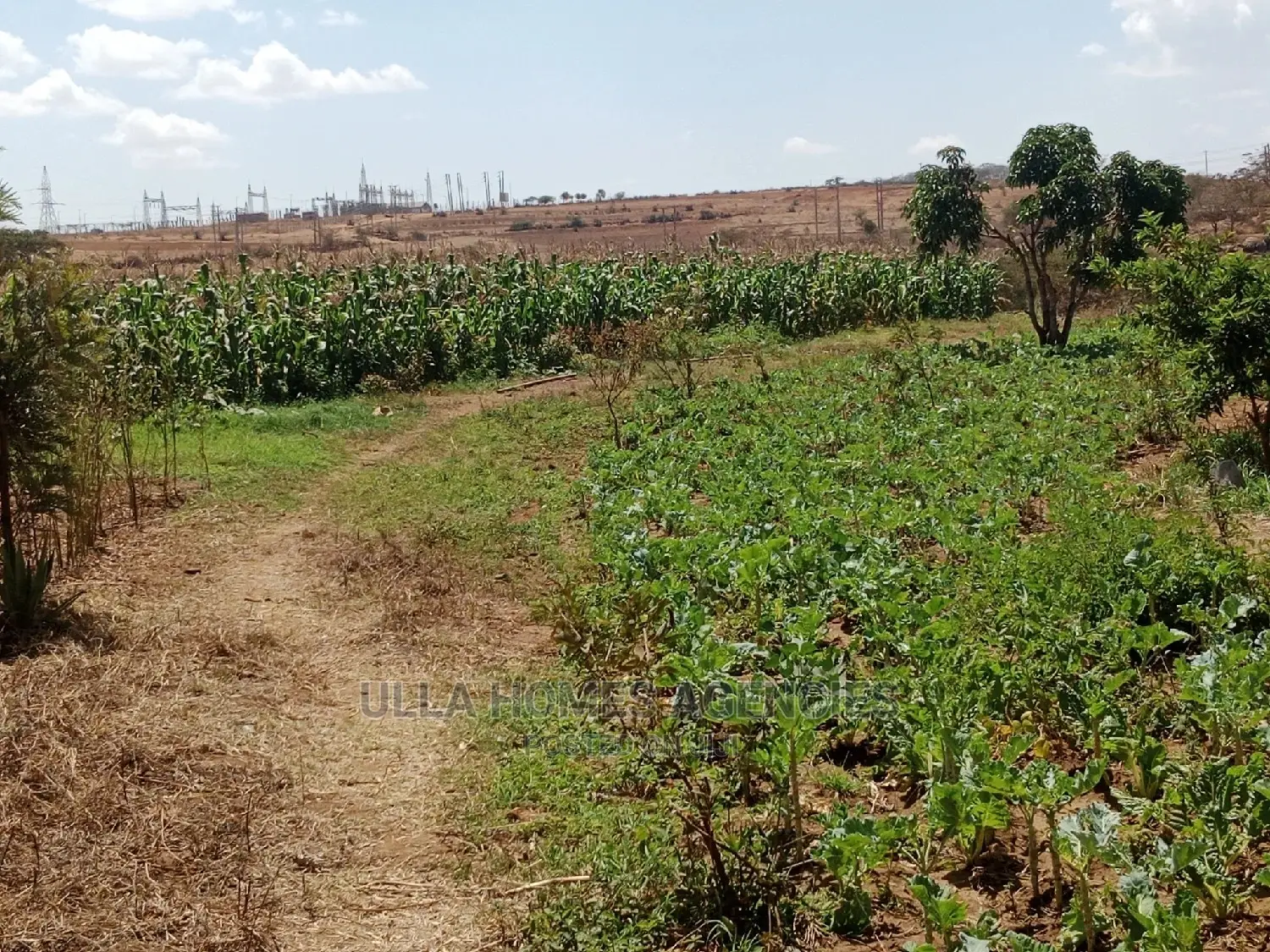 Half Acre at Machakos,Kimutwa,Miwani Near Tarmac Road.