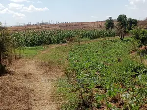 Half Acre at Machakos,Kimutwa,Miwani Near Tarmac Road.