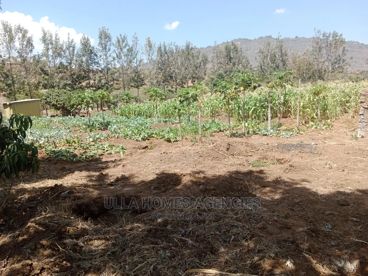 Half Acre at Machakos,Kimutwa,Miwani Near Tarmac Road.