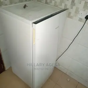Fridge Repair Services