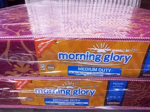 The Future's Mattress! Mattresses Size 4 By 6. Free Delivery