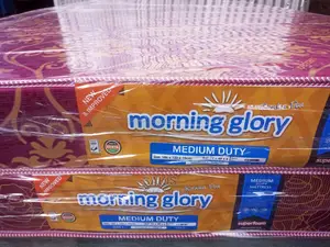The Future's Mattress! Mattresses Size 4 By 6. Free Delivery