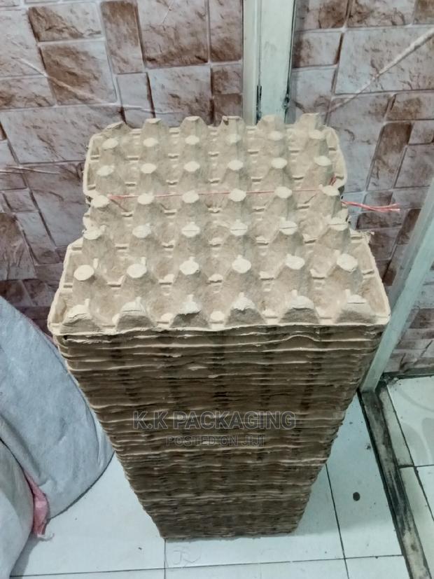 30pcs Capacity Egg Trays - main view