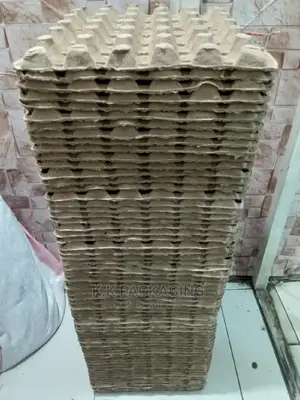 30pcs Capacity Egg Trays