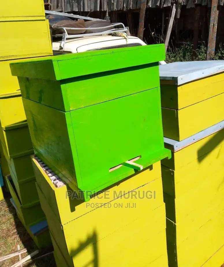 Langstroth Beehives