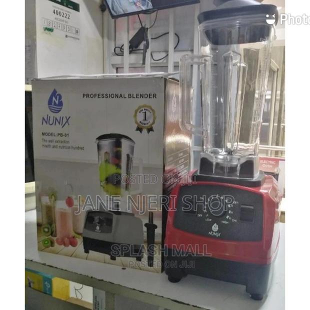 Professional Blender - main view