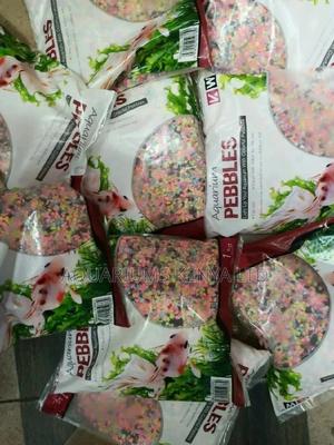 Luminous Glowing Pebbles - thumbnail 2