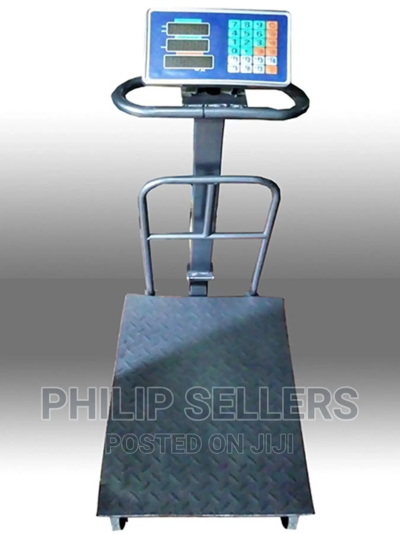 TCS Digital Weighing Scale 600kgs Flat Bed