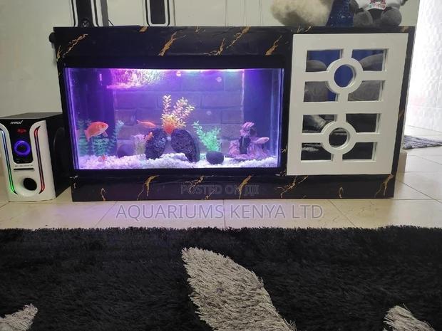 Complete 2ft Tank With Aquarium Cabinet