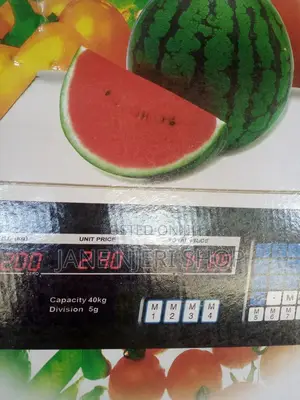 Portable Weigh Scale