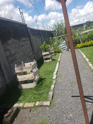 Landscaping and Gardening Services