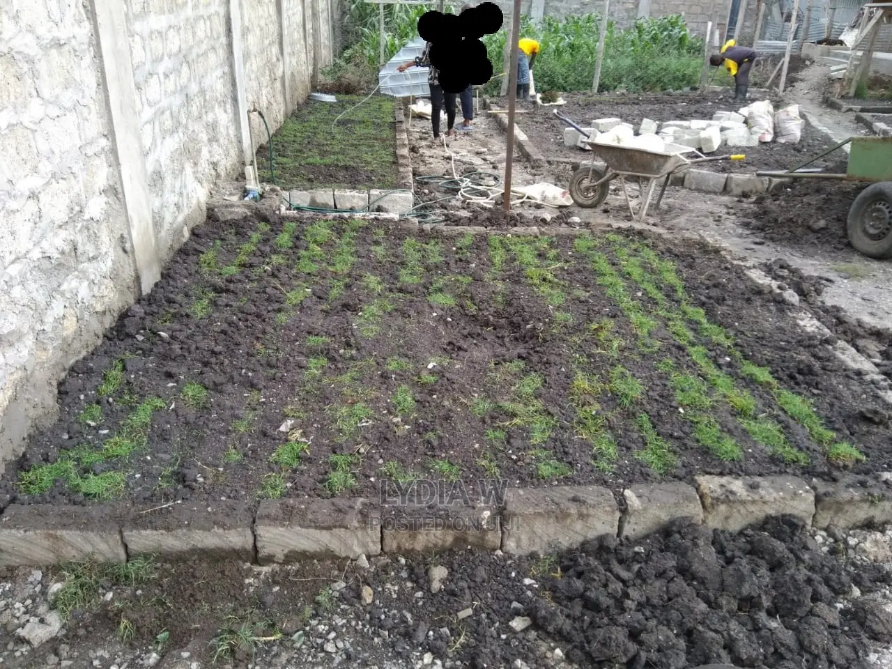 Landscaping and Gardening Services