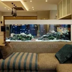 Aquarium, Volcanic Rock , Cichlid Massive Aquarium