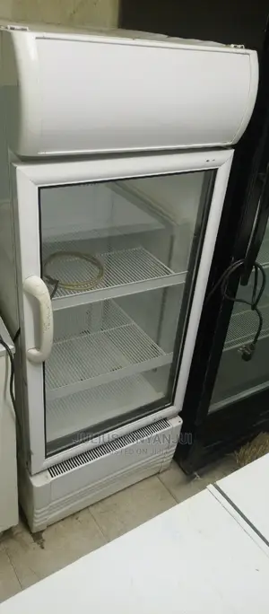 Medium Size Fridge