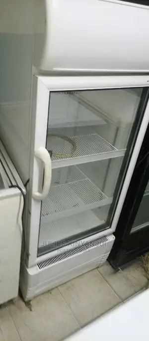 Medium Size Fridge