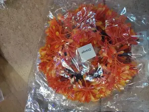 Circular Orange Aquarium Plant