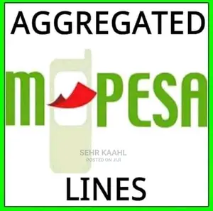Mpesa Aggregated Lines