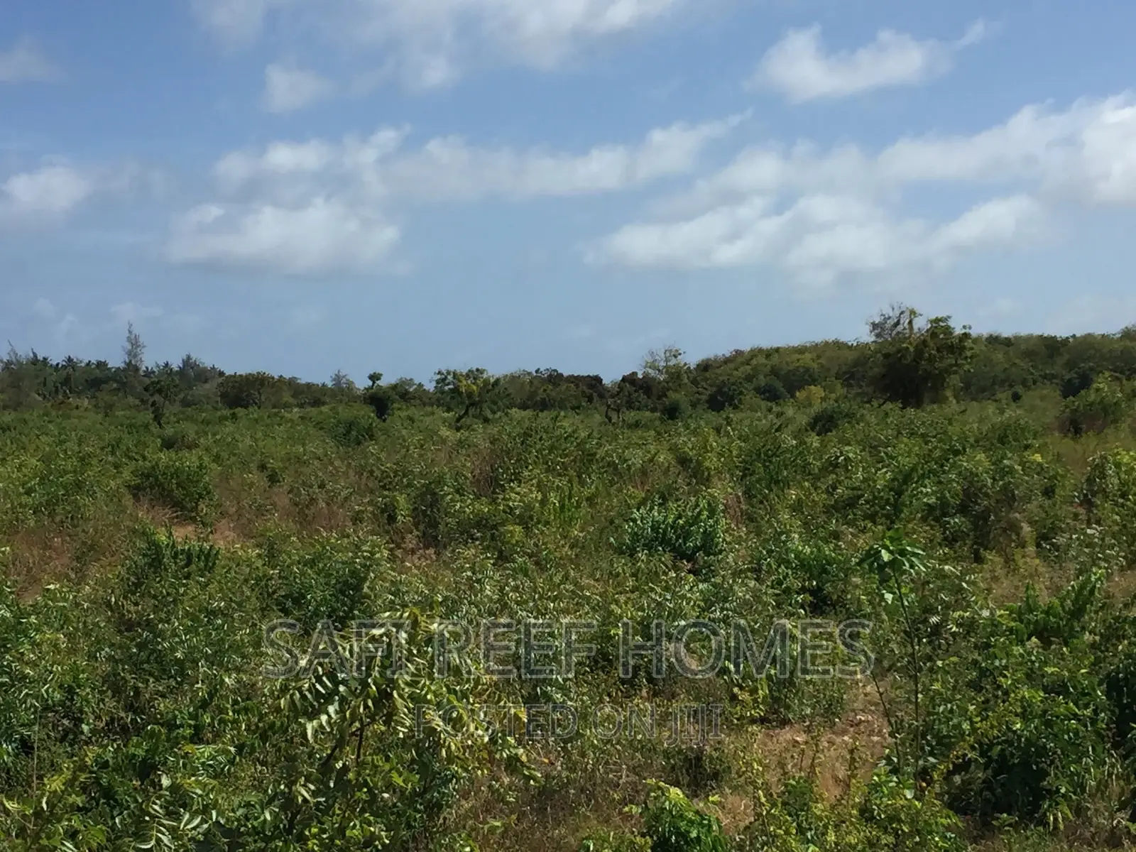 Exclusive 4.5 Acres for Sale on Second Row Kikambala